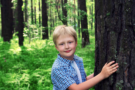 孩子 男孩，手 拥抱松 树，玩，开心户外在夏季森林 公园。环境保护的概念