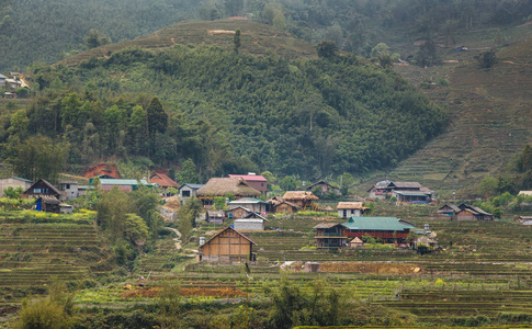 越南稻田美景