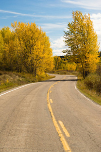 开放路景区旅程两车道沥青公路的秋天的颜色