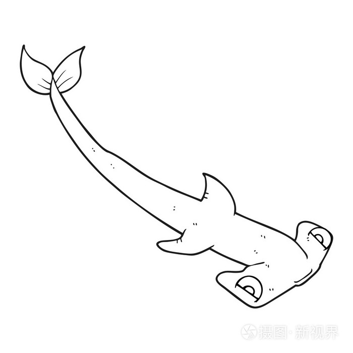 黑色和白色卡通锤头鲨