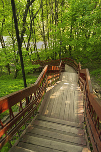 夏季公园的木制楼梯