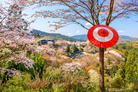 Yoshinoyama，奈良日本