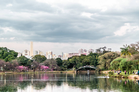 巴西圣保罗ibirapuera公园巴西