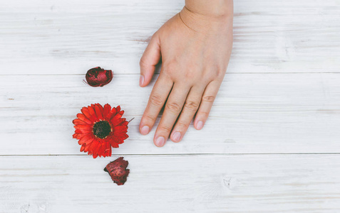 美丽的手与红色花在木桌上