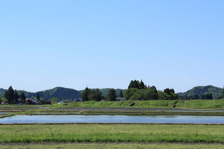 春季, 稻田, 秋田, 日本, 景观