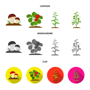 蘑菇, 草莓, 玉米, 黄瓜。植物集合图标在卡通, 平, 单色风格矢量符号股票插画网站