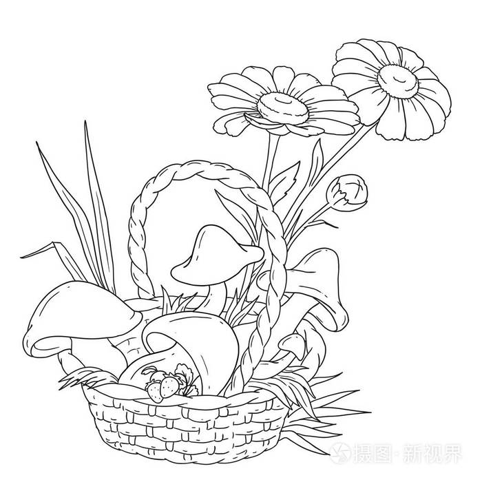 有蘑菇和浆果的篮子蘑菇和chamomiles森林丰收着色书的向量例证
