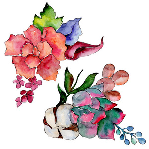 热带花束花。花卉植物花。野生春叶野花分离。背景质地包装图案框架或边框的水彩画野花