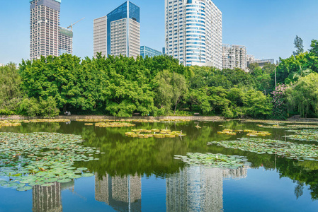 湖的看法在城市公园。深圳。中国