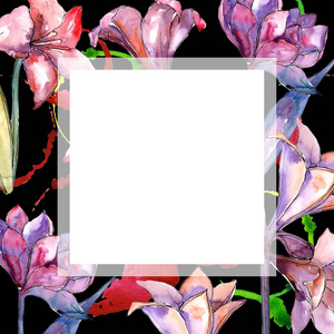粉红色的阿玛丽利斯。花卉植物花。框边框装饰广场。背景质地包装图案框架或边框的水彩画野花