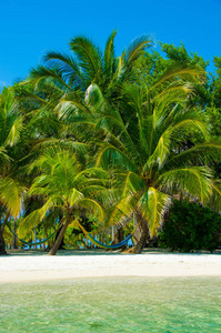 伯利兹的南水 Caye小加勒比天堂岛, 带热带海滩度假和放松