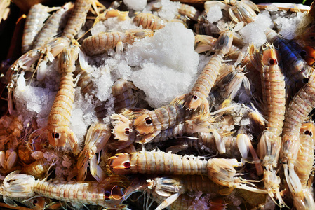 螳螂虾新鲜食物背景