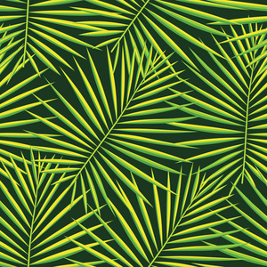 热带图案无缝背景。棕榈叶, 现代无缝夏季热带艺术。色彩鲜艳的天然植物版画为装饰面料, 时尚纺织品。棕榈树叶。媒介热带植物学