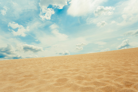沙的沙漠景观