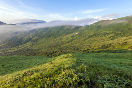 冷雾夏天早上在喀尔巴阡山的全景