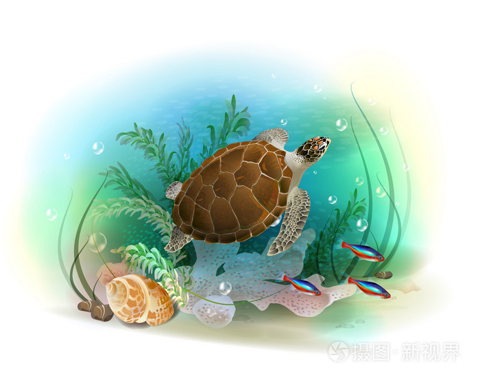 插画 海龟在大海里游泳.热带的叔叔的插图.eps