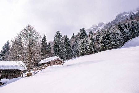 美丽的冬天风景在德国阿尔卑斯在纽伦堡, Allgaeu, 巴伐利亚, 德国