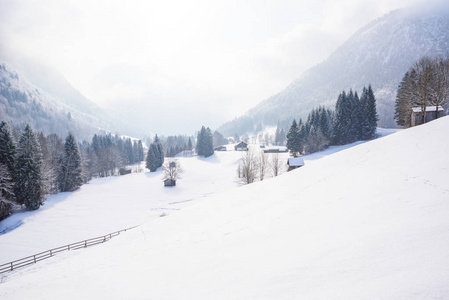 美丽的冬天风景在德国阿尔卑斯在纽伦堡, Allgaeu, 巴伐利亚, 德国