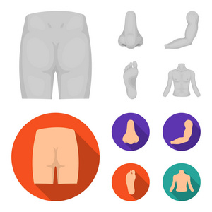 臀部, 鼻子, 胳膊, 脚。部分身体集合图标在单色, 平面式矢量符号股票插画网站