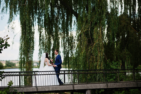 婚礼热恋中的情侣在公园的小桥上呆在阳光灿烂的日子