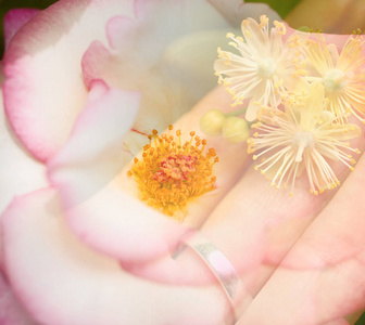 浪漫的花卉婚礼图片。戒指和鲜花的女人的手。梦幻 般