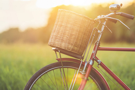 红色日本样式古典自行车在绿色领域在日落时间