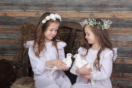 两个女孩女友举行现场白色的鸽子