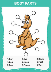 插图的袋鼠词汇身体的一部分，写科尔