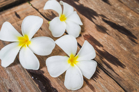 白色花素 鸡蛋 在木地板背景的花朵