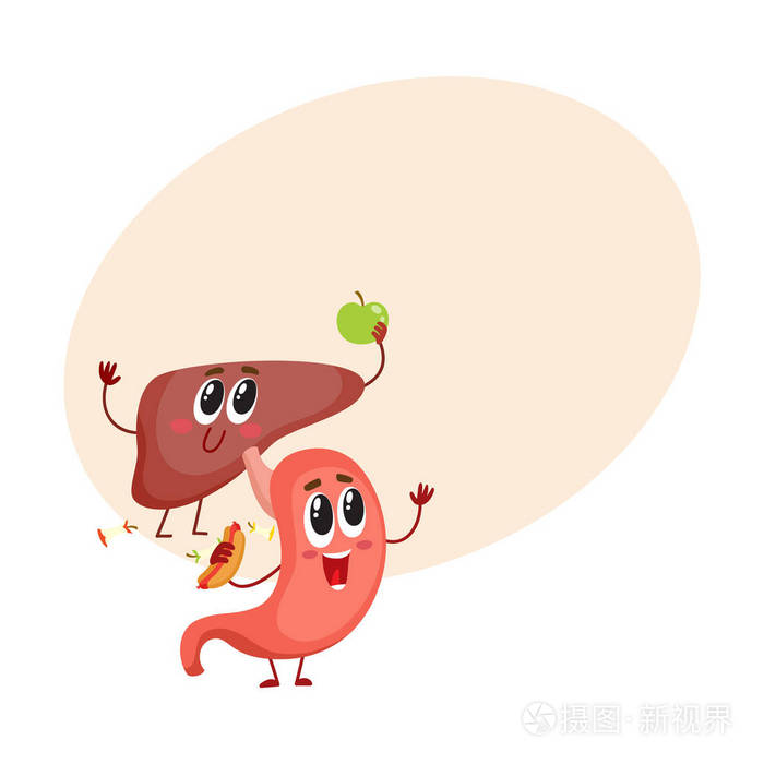 可爱和有趣,微笑的人的胃和肝的字符