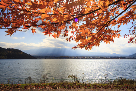 日本河口湖美丽的秋天风景和背景，