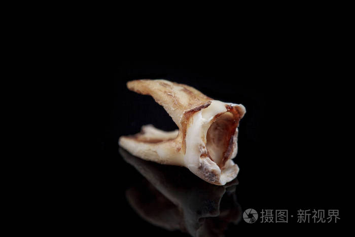 远程牙龋在黑色背景上的损坏.宏观