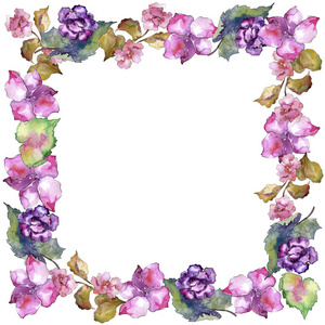 粉红色和紫色的 gardania。花卉植物花。框边框装饰广场。背景质地包装图案框架或边框的水彩画野花