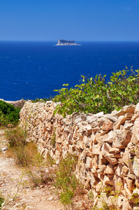 马耳他岛南岸的石质