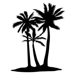 白色背景上的向量棕榈树剪影图标