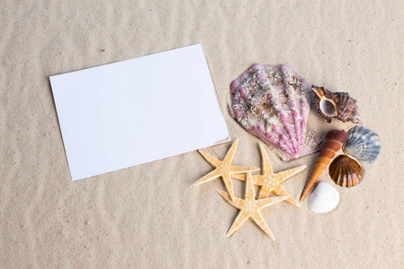 假日海滩概念与壳 seastars 和空白明信片