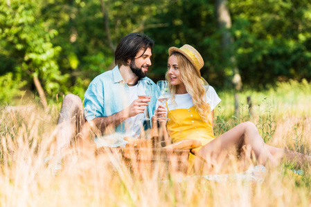 夫妇坐在草地上, 拿着酒杯和看着对方在野餐