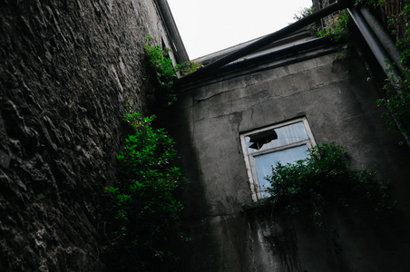 建筑物的暗角落, 墙上有窗户和青苔。老爱尔兰建筑学