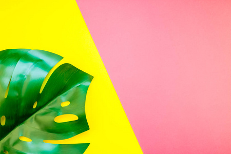 热带丛林棕榈龟背竹叶子在明亮的黄色和粉红色的纸背景。暑期创意平面布局概念模板文本