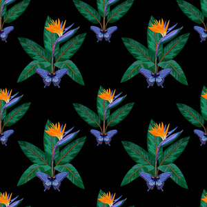 鹤望兰和蝴蝶的无缝模式图片