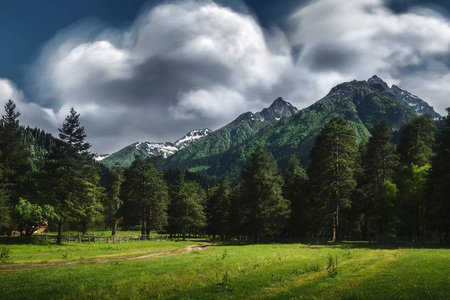 山的美丽的自然风景与雪和绿色森林