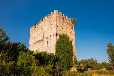 中世纪塔楼在西班牙勃艮第的荆棘丛中。
