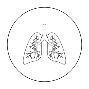 肺孤立在白色背景上的大纲样式中的图标。器官象征股票矢量图
