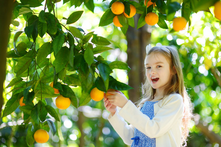 小女孩采摘新鲜成熟的橘子