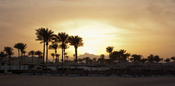 夏日日落。金色日落之夜, 在山海海滩上用棕榈伞。橙色日落在山采摘和棕榈在海滨用雨伞。炎热的埃及之夜和日落。空的海滩图片