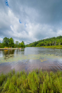 彭德尔顿湖，在黑水瀑布州立公园，西弗吉尼亚州