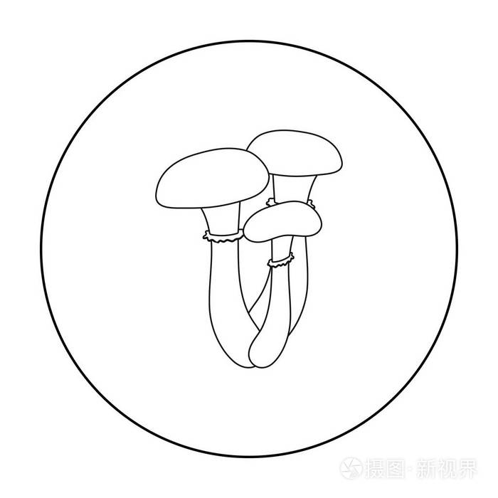 蜂蜜木耳图标在白色背景上孤立的轮廓样式蘑菇象征股票矢量图