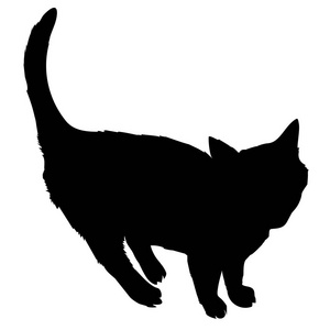黑猫剪影的设计
