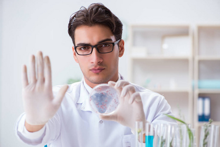 在实验室工作的生物科学家化学家