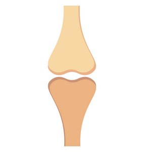 骨关节颜色隔离矢量图标完全可编辑